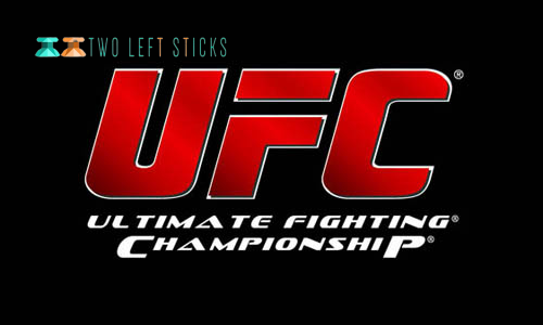 Top 10 Best MMA Organizations in the World right now
