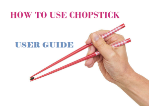 twoleftsticks_how_to_use-chopstick_user_guide-300x214