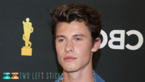 Shawn Mendes Cancels His Tour Due To Mental Health Issues-twoleftsticks(3)