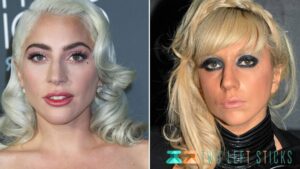 Lady Gaga Before And After-twoleftsticks(3)