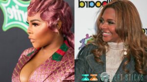 Lil Kim Before And After-twoleftsticks(3)