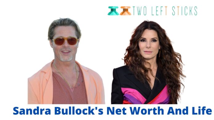 Sandra Bullock's Net Worth And Life-twoleftsticks(1)