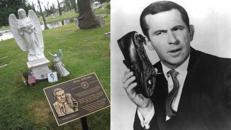 Don Adams cause of death: The actor dies at 82.