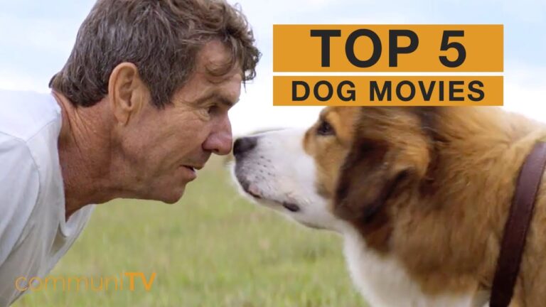 Read Here About the 5 Hilarious Dog Movies.